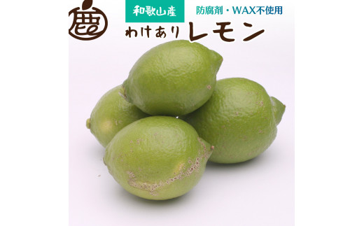 ＜先行予約＞家庭用　黒潮レモン3kg+90g（傷み補償分）【和歌山有田産】【防腐剤・WAX不使用、安心の国産レモン】【わけあり・訳ありレモン】 ※2024年9月上旬頃?2024年4月下旬頃に順次発送【ikd034B】