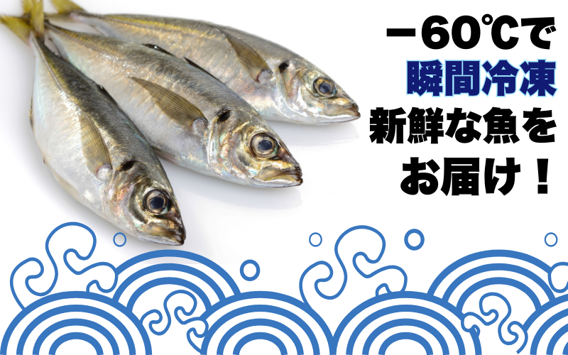 【一本魚】和歌山県すさみ産 まるっと鮮魚便【3～4匹】/ 魚介 海鮮 海の幸 魚料理 冷凍 まるごと 新鮮 刺身 和歌山 すさみ町 大容量 【scp122-2】