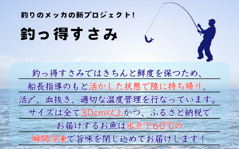 【一本魚】和歌山県すさみ産 まるっと鮮魚便【3～4匹】/ 魚介 海鮮 海の幸 魚料理 冷凍 まるごと 新鮮 刺身 和歌山 すさみ町 大容量 【scp122-2】