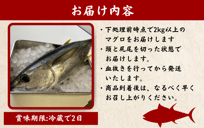 キハダマグロ 1尾 下処理済み 和歌山県すさみ町産 / マグロ 丸ごと 魚 捌く 鮪 海鮮丼 寿司 手巻き寿司 漬け丼 海鮮 海の幸 魚介 新鮮 刺身 和歌山 すさみ町 キハダマグロ 大容量 【scp123】