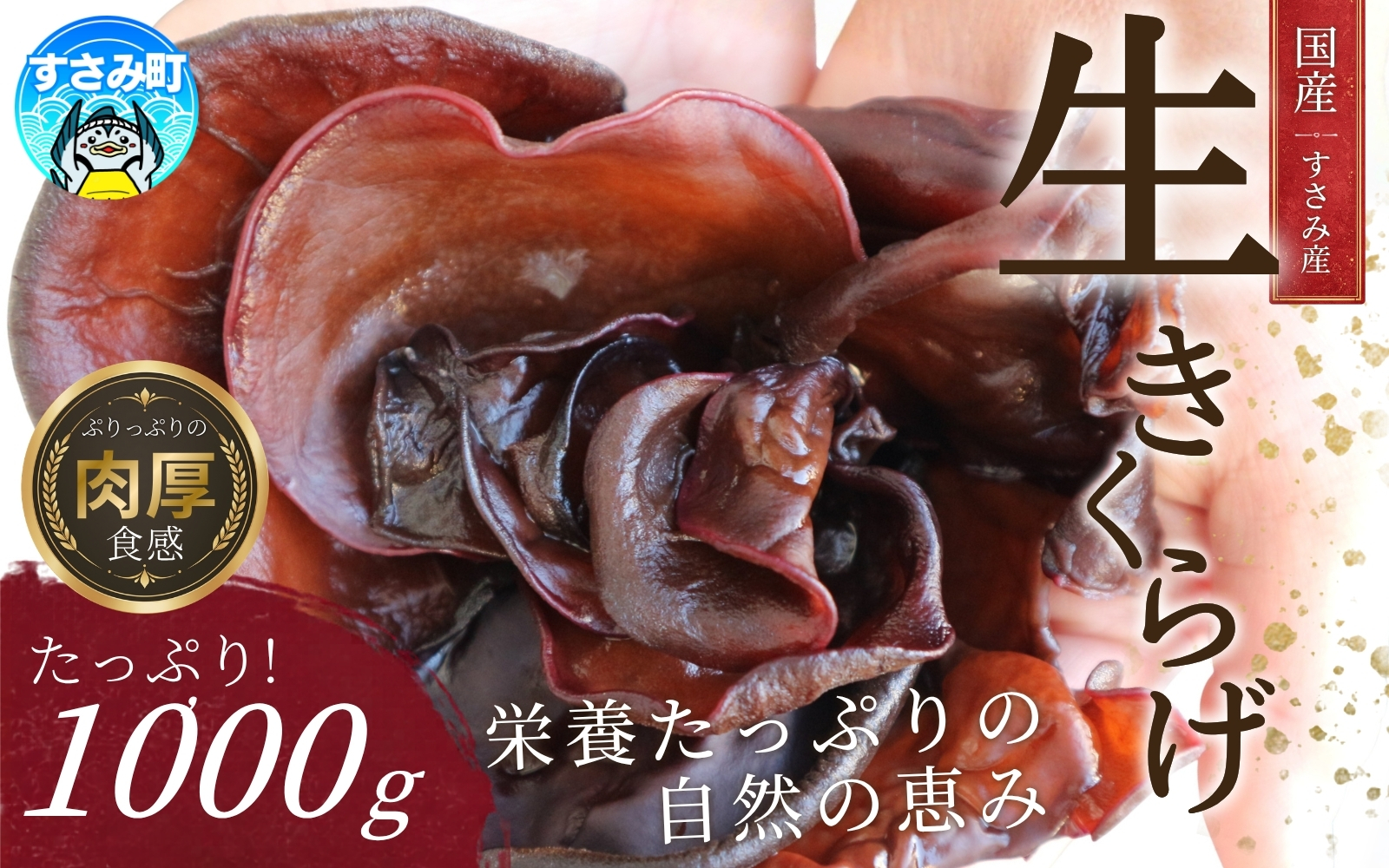 【国産】 きくらげ すさみの生きくらげ 1000g 木耳 キクラゲ 生木耳 生キクラゲ 国産キクラゲ 国産きくらげ 国産木耳【scp134】