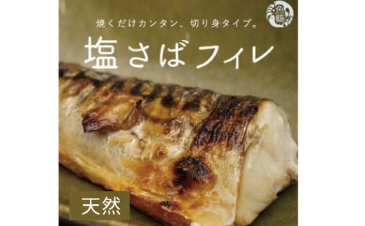 塩さばフィレ 24枚入(真空パック入)/さば サバ 鯖 フィレ 切り身 切身 魚 海鮮 焼き魚 おかず【uot742-1】