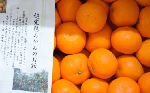 【濃厚・まろやか】有田産樹上越冬完熟みかん5kg（2S～Mサイズ混合・秀品）　※2025年1月下旬頃～2025年2月中旬頃発送【tec873A】