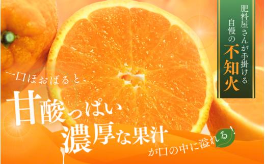  【先行予約】秀品 ハウス不知火 2kg※箱込み【L～4Lのサイズおまかせ】【2026年1月下旬から2026年２月下旬頃に順次発送】＜味好農園＞/不知火 デコポン 蜜柑 みかん 柑橘 果物 フルーツ 【agy039】 