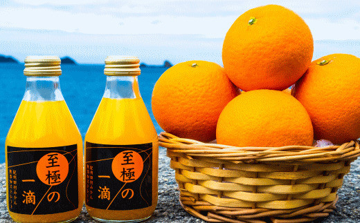 【無添加】田村みかんの新鮮100％ジュース「至極の一滴」180ml×12本入り / 和歌山県 ジュース みかん 有田ミカン みかんジュース オレンジジュース フルーツジュース 有田みかん 有田【tec936A】