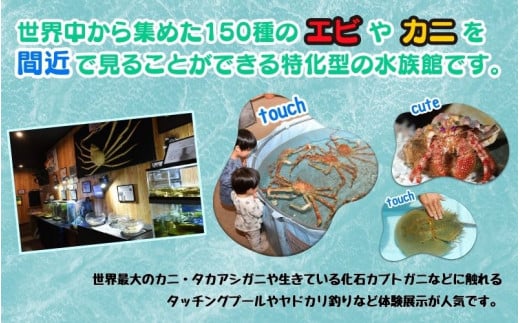 ＼バックヤードツアー付き／　エビとカニの水族館 4名様チケット　【ebk103】