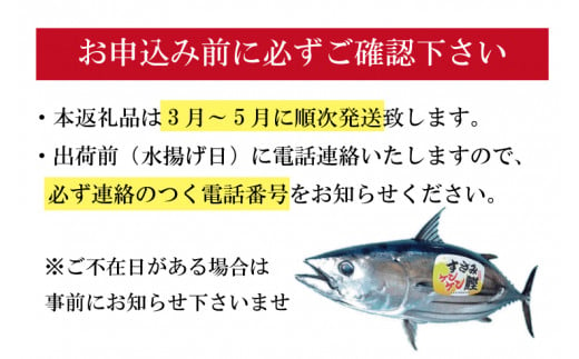 【先行予約・数量限定】伝統のケンケン釣り！すさみケンケン鰹 一本 約1.5～2? ※3月～6月中旬の間に順次お届け カツオ かつお 刺身 タタキ 天然 初ガツオ 初鰹【gyg144】