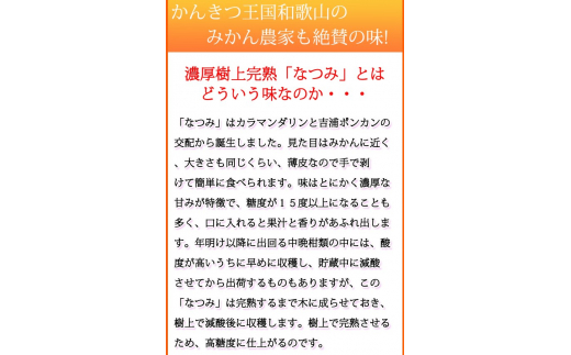 初夏のみかん　なつみ3kg　※2025年4月中旬頃～4月下旬頃順次発送（お届け日指定不可）【uot753】