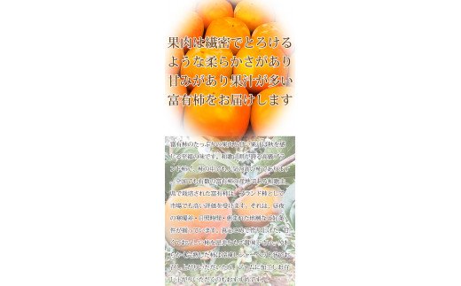 【ご家庭用わけあり】和歌山秋の味覚　富有柿　約3.5kg　※2024年11月上旬頃?2024年11月下旬頃発送【uot741】