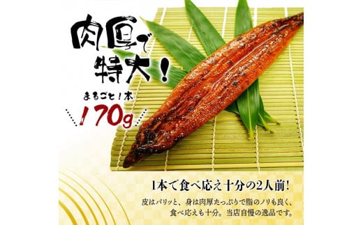 【大型サイズ】ふっくら柔らか 国産うなぎ蒲焼き 2尾/うなぎ ウナギ 鰻 うなぎ蒲焼 国産【uot302-3】