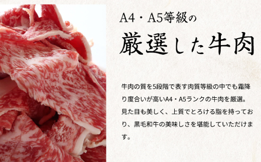 熊野牛 A4以上 霜降り 赤身 こま切れ 500g【uot747】