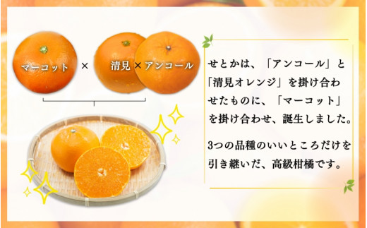 【ご家庭用】紀州和歌山産 せとか 約5kg / 訳あり 不揃い みかん 20000円 2万円 蜜柑 柑橘 おいしい 甘い 果物 フルーツ 人気 数量限定【先行予約】※2025年2月上旬頃～2025年3月中旬頃に順次発送予定(お届け日指定不可)【uot748】