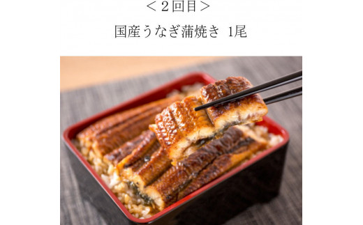 【全4回】困った時の1品に！＼晩ご飯直行／絶品おかず定期便（さば・鰻・サケ・海鮮丼）【tkb304】