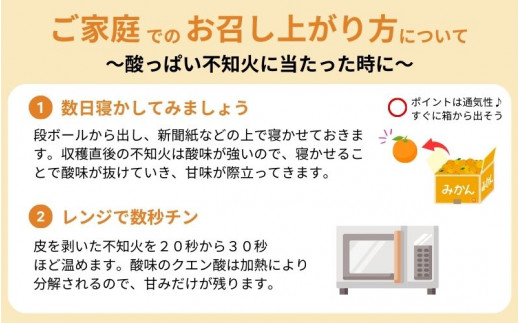 家庭用　不知火5kg+225g（傷み補償分）【デコポンと同品種】【わけあり・訳あり】【しらぬひみかん・しらぬい】【光センサー選別】 / 和歌山 みかん 果物 ミカン フルーツ 果実 柑橘 デコポン【ikd055B】