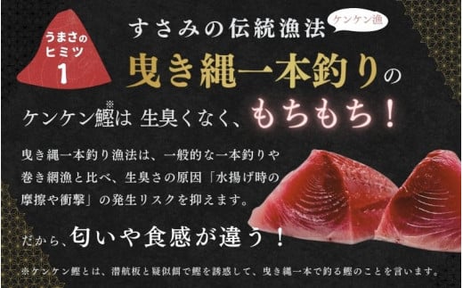 すさみケンケン鰹のたたき 約500g～600g カツオ かつお 刺身 タタキ 天然 初ガツオ 初鰹【scp001A】