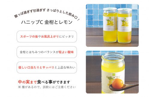 果実入り清涼飲料水 ハニップC2種類セット（30本）【prm001】