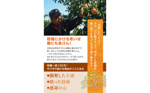 ＼光センサー選別／ ちっちゃな有田みかん こつぶみかん 約10kg （3S～Sサイズ混合）有機質肥料100% ※2024年11月中旬頃～2025年1月上旬頃に順次発送予定（お届け日指定不可） 先行予約 みかん 有田みかん 温州みかん ミカン 小粒 柑橘 フルーツ 果物【nuk153A】