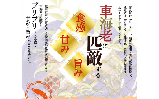 紀州和歌山産天然足赤えび540g（270g×2パック）化粧箱入 ※2024年11月上旬～2025年2月下旬頃順次発送予定（お届け日指定不可）／海老 エビ えび クマエビ 足赤 天然 おかず【uot772A】