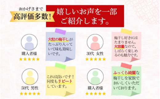 紀州南高梅 大粒 はちみつ梅干し  1.5? 塩分約8% 無選別 ご家庭用 訳あり 梅 梅干 梅干し うめ ウメ ハチミツ すさみ町 【khs113】