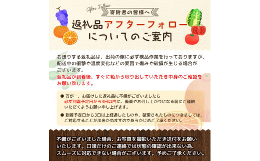 【厳選・濃厚】紀州有田産のはるみ約5kg(Lサイズ) ※2025年1月下旬頃～2025年2月中旬ごろ順次発送【tec914A】