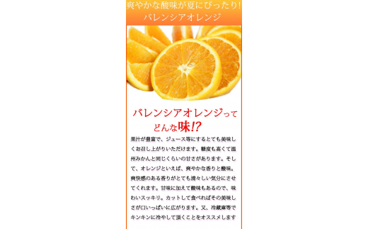 秀品　希少な国産バレンシアオレンジ　2.5kg　※2025年6月下旬頃～7月上旬頃順次発送（お届け日指定不可） / オレンジ みかん 柑橘 果物 果実 バレンシア【uot752】