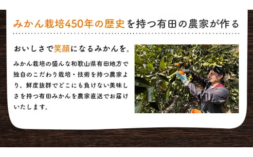 有田育ちのご家庭用完熟 有田みかん 2.2kg ※2024年11月上旬～12月下旬頃に順次発送【ard201】