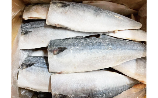 塩さばフィレ 8枚入（真空パック入）/さば サバ 鯖 フィレ 切り身 切身 魚 海鮮 焼き魚 おかず【uot404】