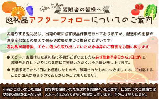 ＜先行予約＞家庭用　不知火3kg+90g（傷み補償分）【デコポンと同品種】【わけあり・訳あり】【しらぬひみかん・しらぬい】【光センサー選別】 和歌山 不知火 柑橘 くだもの フルーツ 果物 みかん【ikd053B】