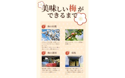 梅干し 紀州南高梅 はちみつ梅干し 200g【khs123】