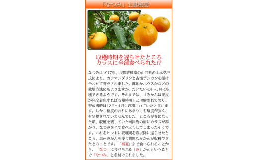 初夏のみかん　なつみ3kg　※2025年4月中旬頃～4月下旬頃順次発送（お届け日指定不可）【uot753】