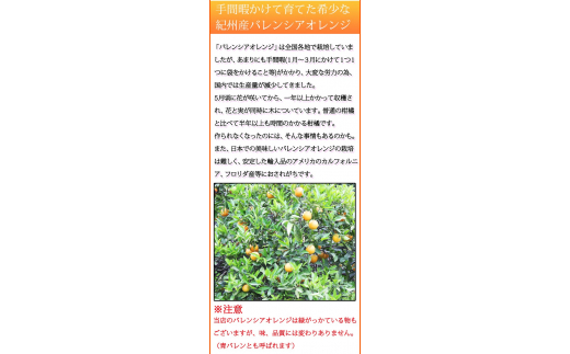 秀品　希少な国産バレンシアオレンジ　2.5kg　※2025年6月下旬頃～7月上旬頃順次発送（お届け日指定不可） / オレンジ みかん 柑橘 果物 果実 バレンシア【uot752】