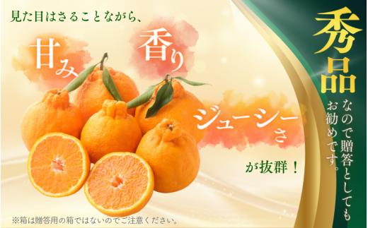  【先行予約】秀品 ハウス不知火 2kg※箱込み【L～4Lのサイズおまかせ】【2026年1月下旬から2026年２月下旬頃に順次発送】＜味好農園＞/不知火 デコポン 蜜柑 みかん 柑橘 果物 フルーツ 【agy039】 