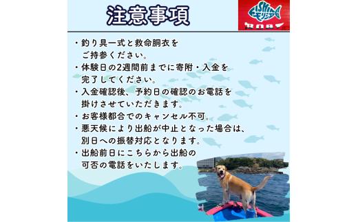 【3名様用】大自然に包まれて…和歌山の海でカセ釣り体験 (経験者向け) / 釣り 紀州 和歌山 南紀 船釣り イカダ釣り 釣り放題 のんびり 貸し切り 体験 【fms003】