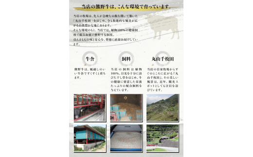 希少和牛 熊野牛 切落し 約500g ＜冷蔵＞ すき焼き しゃぶしゃぶ 牛肉【sim108A】