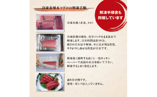 本マグロ（養殖）トロ＆赤身セット 3kg 【1ヶ月以内に発送】高級 クロマグロ  中トロ 中とろ  まぐろ マグロ 鮪 刺身 赤身 柵 じゃばらまぐろ 本マグロ 本鮪 【nks112】