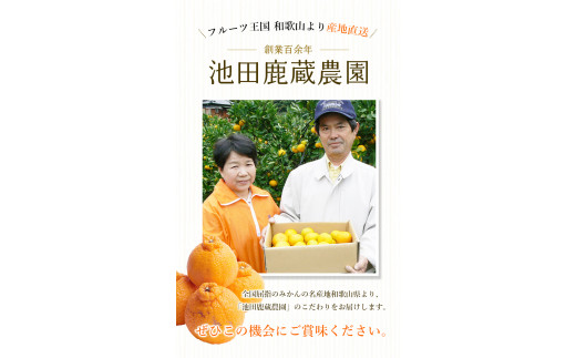 ＜先行予約＞家庭用 不知火 4kg+150g（傷み補償分）【デコポンと同品種・人気の春みかん】【訳あり】＜2月より発送＞ ※北海道・沖縄・離島への配送不可 フルーツ 果物 くだもの 柑橘 和歌山【ikd163A】