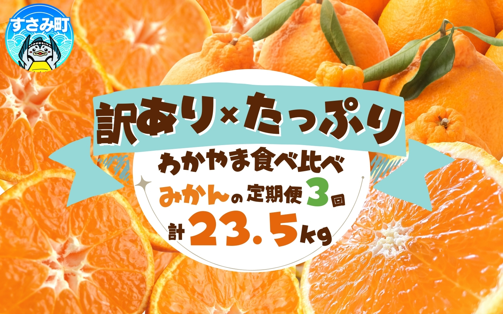 【3か月定期便】たっぷり届く♪訳ありみかんの定期便 / 訳あり 有田みかん 果物 フルーツ 柑橘 みかん ミカン くだもの 定期便 訳ありみかん 和歌山 オレンジ 有田ミカン 蜜柑 【tkb113】