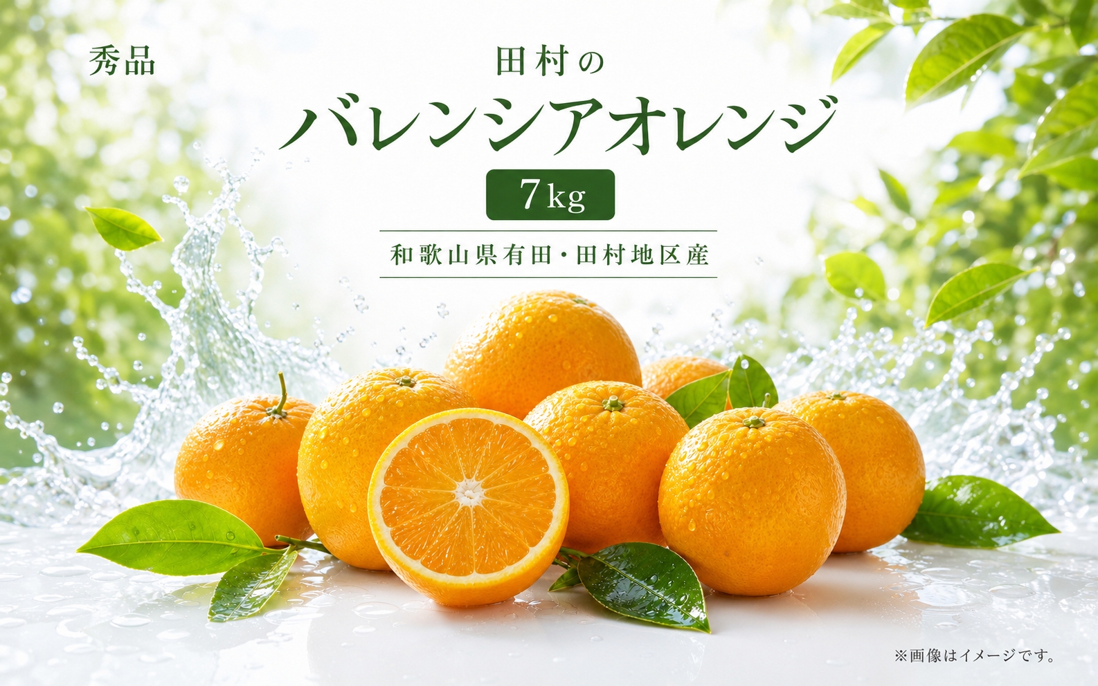秀品　田村のバレンシアオレンジ　約7kg【2027年6月下旬頃～7月上旬頃順次発送予定】/ みかん くだもの フルーツ 【uot872】