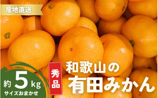 【1月発送】秀品 有田みかん 和歌山県産 S～Lサイズ 大きさお任せ 5kg / みかん フルーツ 果物 くだもの 有田みかん 蜜柑 柑橘【ktn002-1】