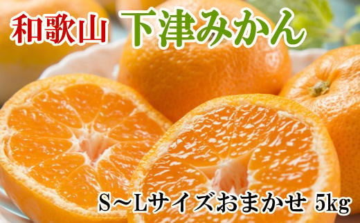 【産直・秀品】和歌山下津みかん約5kg(S～Lサイズおまかせ)　※2024年11月中旬～2025年1月中旬頃順次発送予定（お届け日指定不可）【tec962】