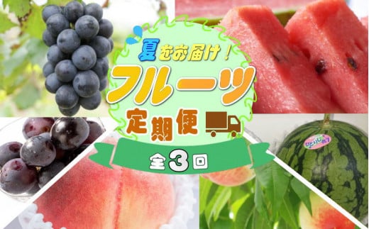 【定期便】夏をお届け！フルーツ定期便！小玉すいか・桃・ピオーネ（全3回）/ フルーツ 果物 すいか ひとりじめ7 もも モモ ぶどう ブドウ  旬 定期便
