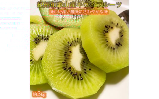 紀州かつらぎ山のキウイフルーツ約３ｋｇ ※2027年1月下旬～2月上旬頃に順次発送予定(お届け日指定不可)【uot792】