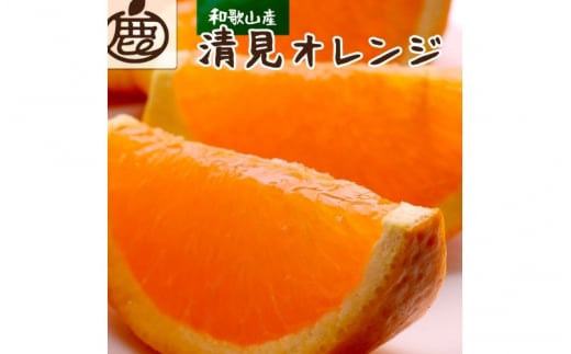 ＜2月より発送＞厳選 清見オレンジ2.5kg+75g（傷み補償分）【光センサー食頃出荷】【樹上完熟きよみオレンジ・清見タンゴール・清美】 ※北海道・沖縄・離島への配送不可【ikd165】