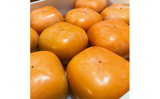 【先行予約】【和歌山特産品】クイーンパーシモン　4L～7Lサイズ　約4kg入り【GO-06】　※2026年10月下旬頃～11月上旬頃に順次発送予定 ※着日指定不可【ard061C】