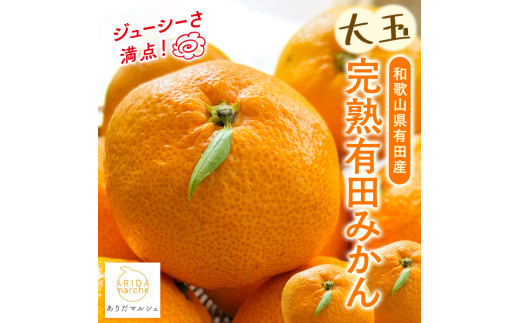 【先行予約】【果汁たっぷり】迫力満点！ 大粒 完熟有田みかん 家庭用 サイズ混合(2L～4L)　約10.2kg(10kg+200g)【2026年11月中旬～1月中旬頃に順次発送予定】【ard055D】