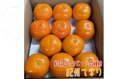  紀州てまり 22～32玉 【和歌山オリジナル品種柿】 2026年11月上旬～11月下旬頃発送予定【GO-09】【ard224A】 