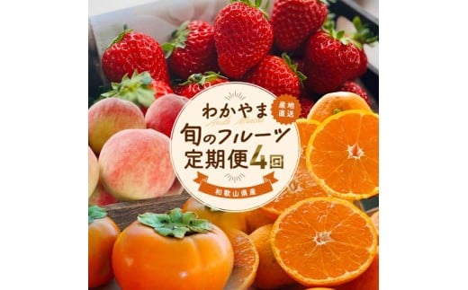 わかやま 旬の フルーツ 定期便 【L】全4回 / 有田みかん まりひめ いちご 桃 柿 ※北海道・沖縄・離島への配送不可【ard-tkb911】
