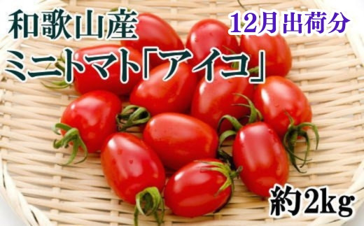 【12月出荷分】和歌山産ミニトマト「アイコトマト」約2kg（S・Mサイズおまかせ）【tec100-12】