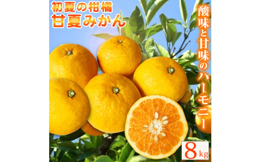 【ご家庭用訳あり】紀州有田産 すっきり爽やか 甘夏みかん 8kg  ※2027年3月中旬頃〜3月下旬頃に順次発送予定 / 甘夏 あまなつ みかん ミカン 蜜柑 温州みかん 柑橘 フルーツ 果物 くだもの 和歌山【uot847】