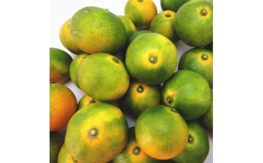 ãåç§ã®çŸå³ããå®¶åºçšããæ©çæç°ã¿ãããçŽ7.5kg+200g(å·ã¿è£åå)ããµã€ãºæ··åãã2026幎10æäžæ¬ïœ11æäžæ¬é ã«é 次çºéäºå®ããard255ã